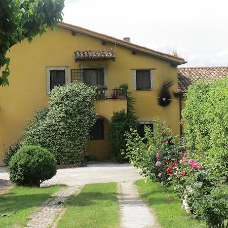 Castelnuovo di Farfa Il Gelso Nero 빌라 외부 사진